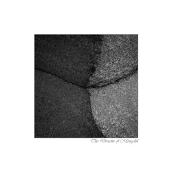 dailyPhoto7